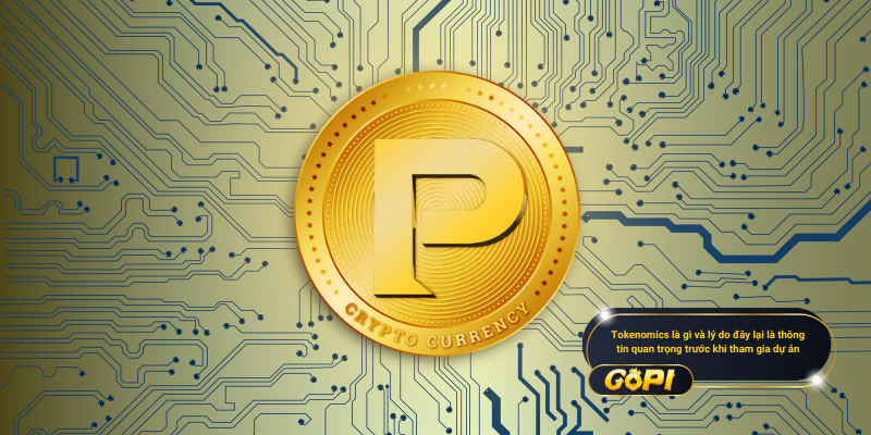 Tokenomics là gì và lý do đây lại là thông tin quan trọng trước khi tham gia dự án