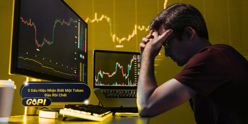 5 dấu hiệu nổi bật để biết token lừa đảo