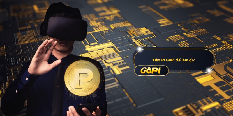 Đào PI GoPi để làm gì?
